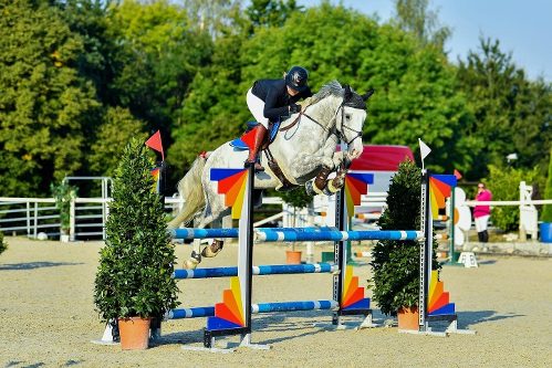 Galerie - Vielseitigkeit / Eventing