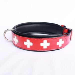 Hundeleine / Hundehalsband